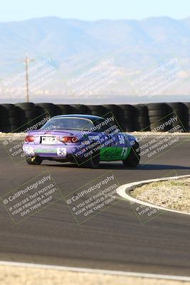 media/Mar-09-2025-Speed SF (Sun) [[8a8bdab083]]/Enduro Race/